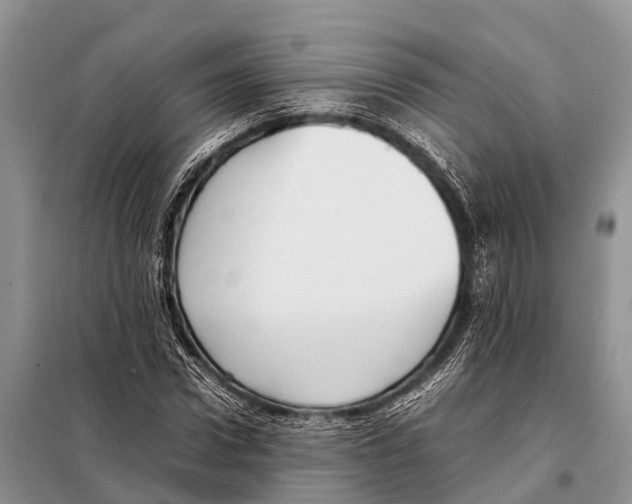 X0000098100922200805021106