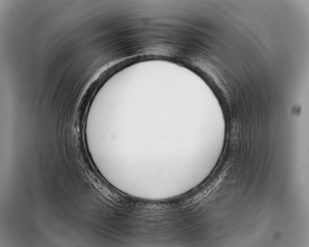 X0000098100923200805021106