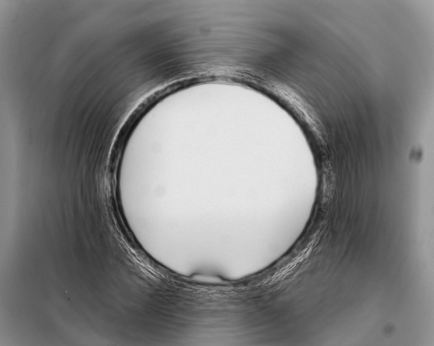 X0000098100924200805021106