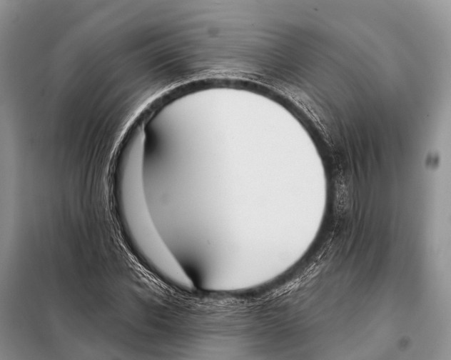 X0000098100926200805021106