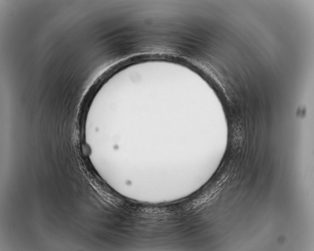 X0000098100927200805021106