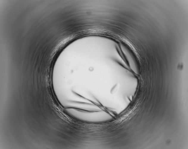 X0000098100930200805021106