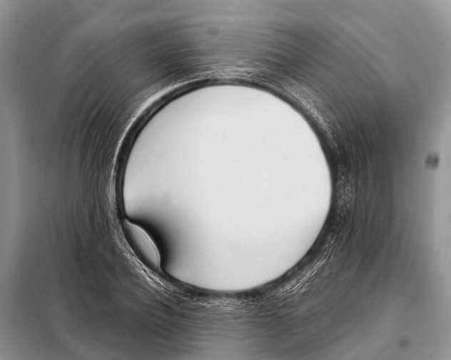 X0000098100932200805021106