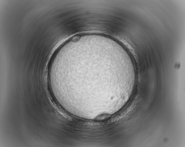 X0000098100933200805021106