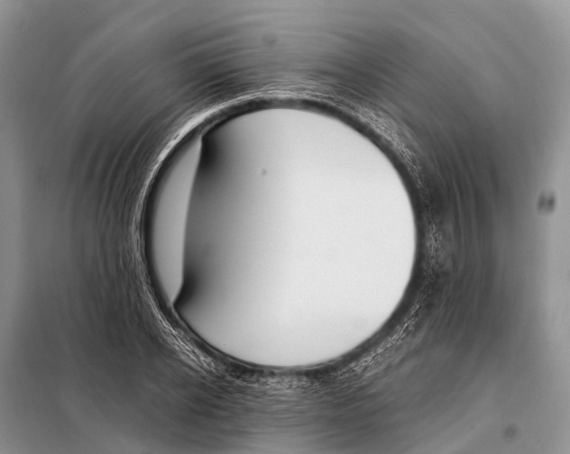 X0000098100934200805021106