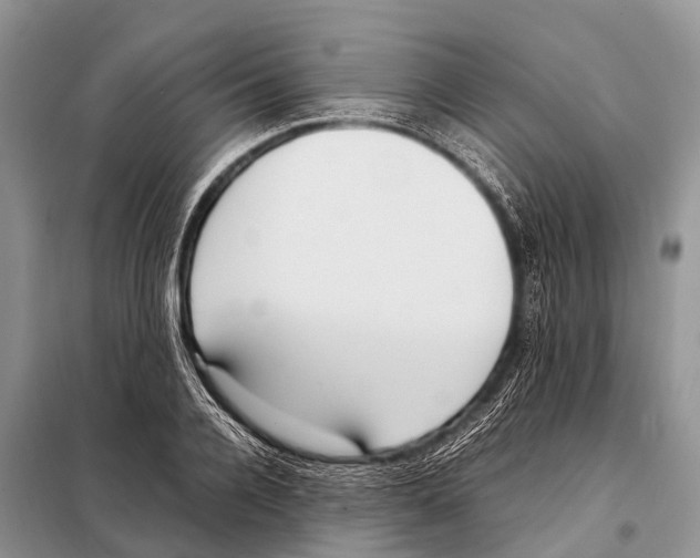 X0000098100936200805021106
