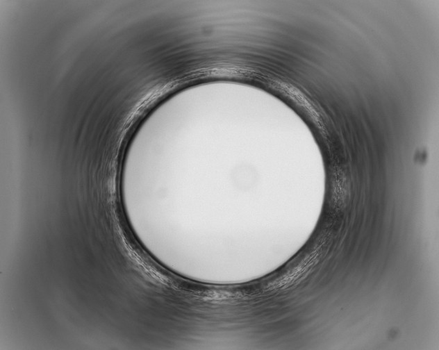 X0000098100938200805021106