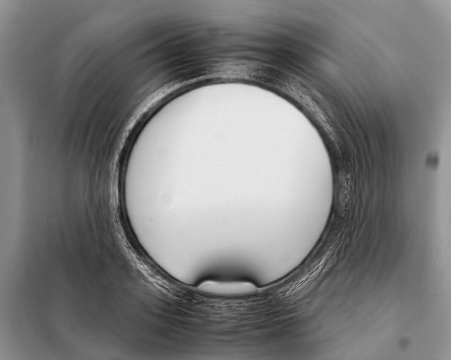 X0000098100939200805021106
