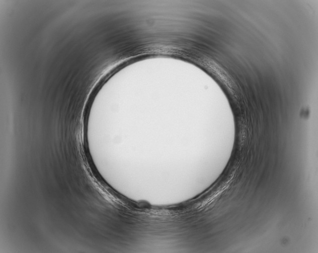X0000098100940200805021106