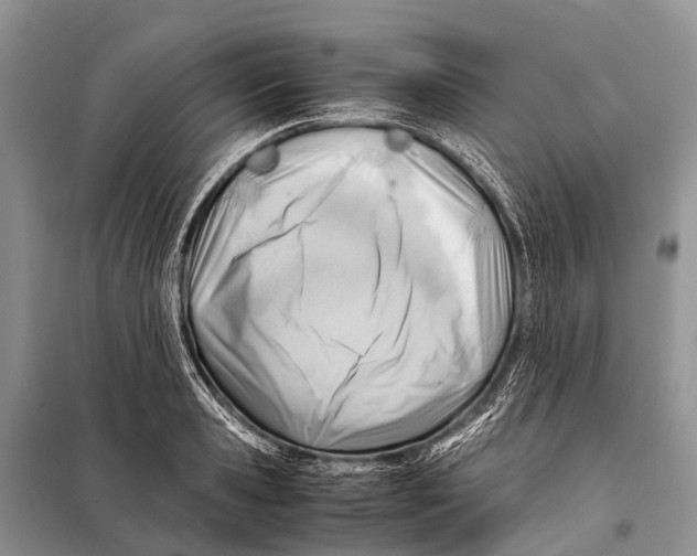 X0000098100941200805021106
