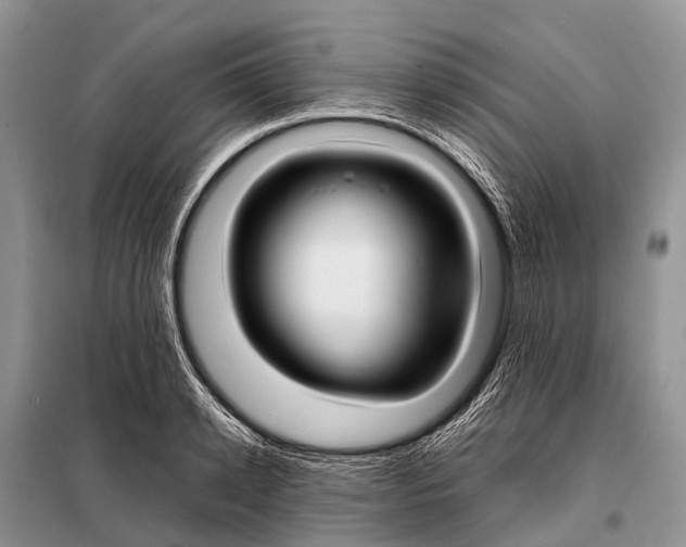 X0000098100942200805021106