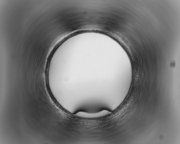 X0000098100943200805021106