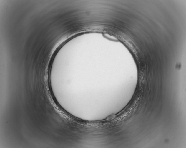 X0000098100944200805021106