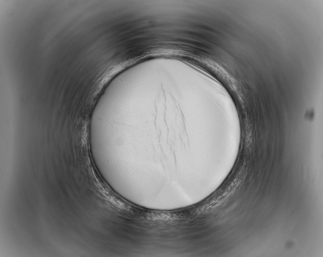 X0000098100945200805021106