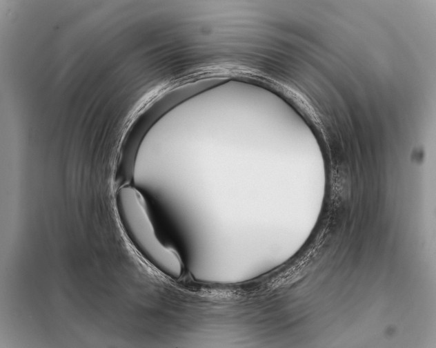 X0000098100946200805021106