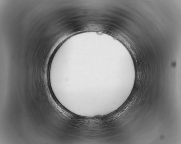 X0000098100947200805021106