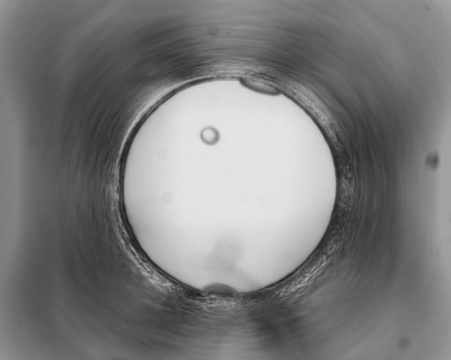 X0000098100948200805021106