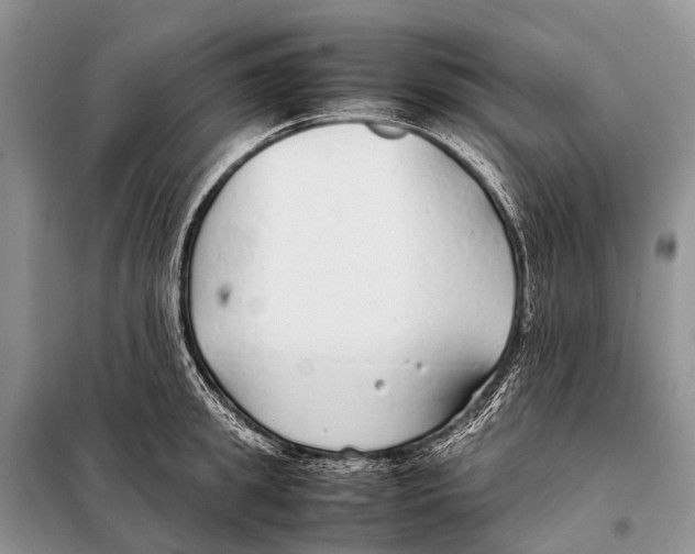 X0000098100949200805021106