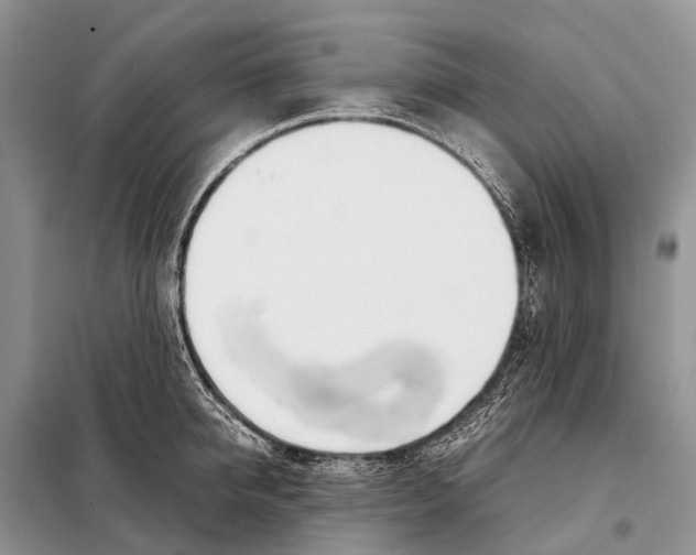 X0000098100950200805021106