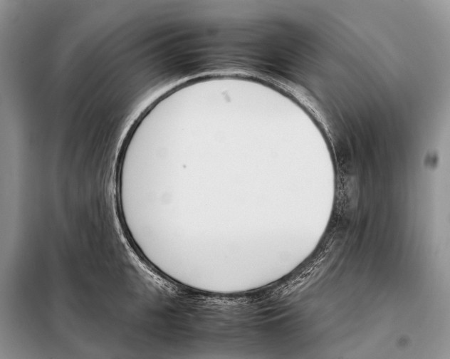 X0000098100951200805021106