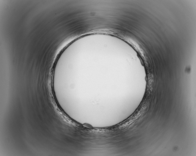 X0000098100952200805021106