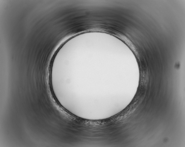 X0000098100955200805021106