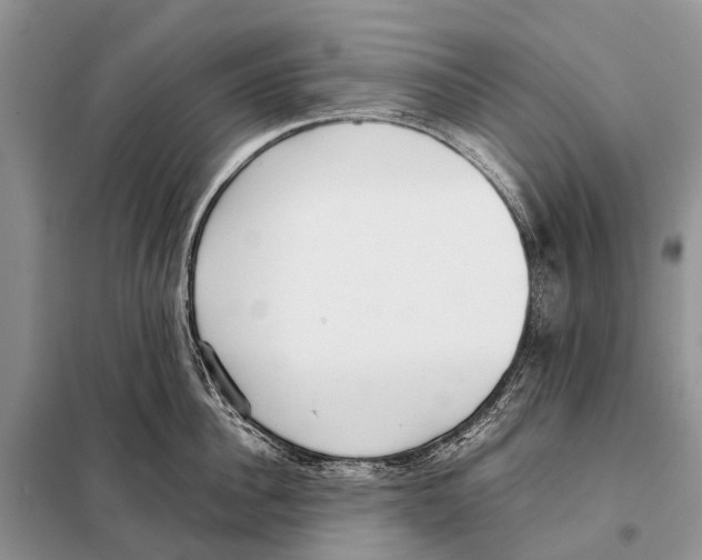 X0000098100956200805021106