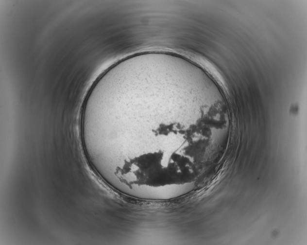 X0000098100958200805021106