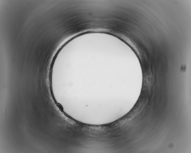 X0000098100959200805021106