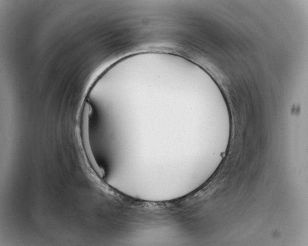 X0000098100960200805021106