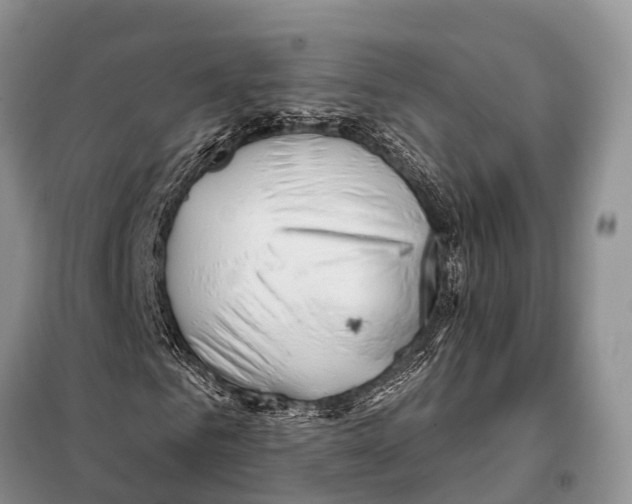 X0000098100961200805021106