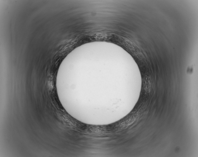 X0000098100962200805021106