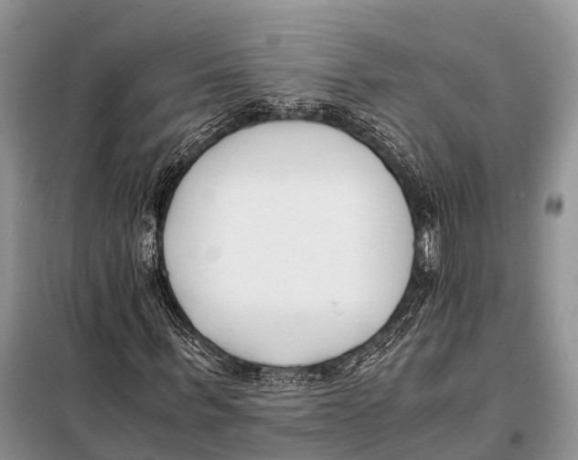 X0000098100963200805021106
