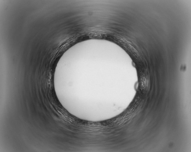 X0000098100964200805021106