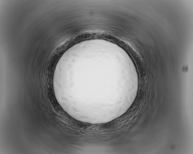 X0000098100967200805021106