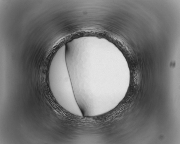 X0000098100968200805021106