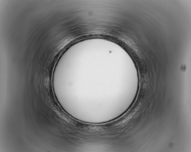 X0000098100969200805021106