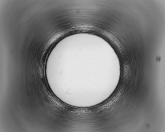X0000098100970200805021106