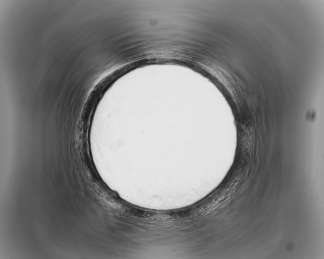 X0000098100971200805021106