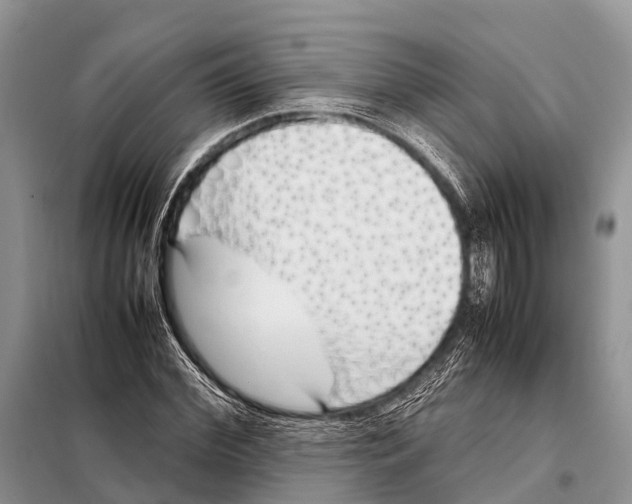 X0000098100972200805021106