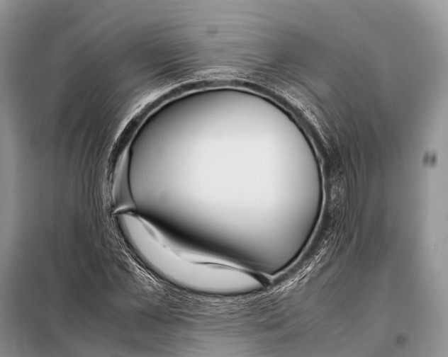 X0000098100973200805021106