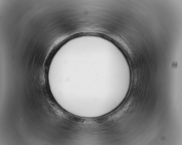 X0000098100974200805021106