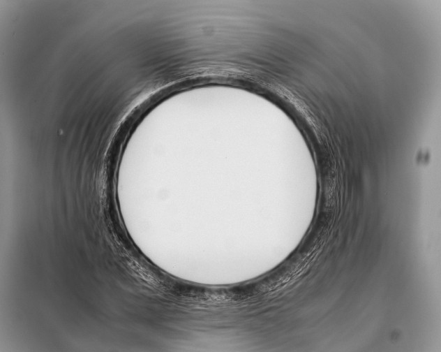 X0000098100975200805021106