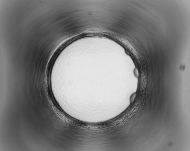 X0000098100976200805021106