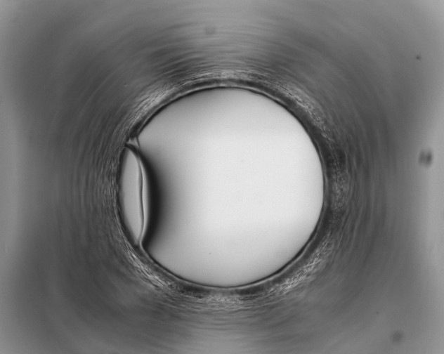 X0000098100977200805021106