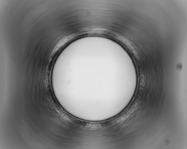 X0000098100978200805021105