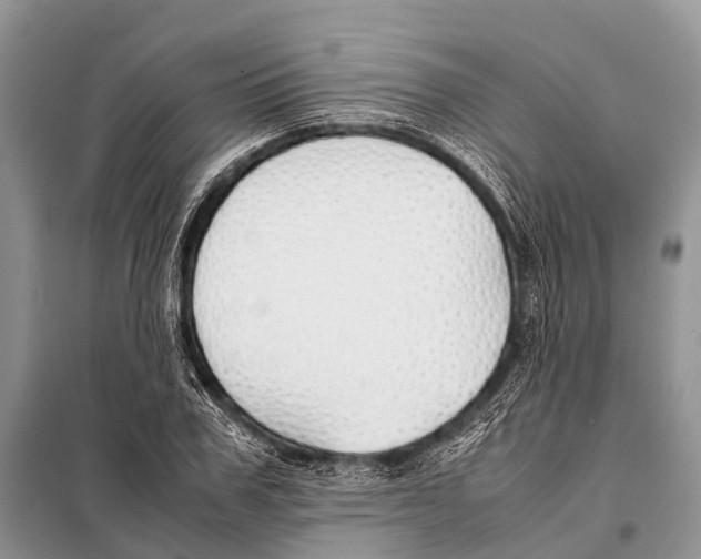 X0000098100979200805021105