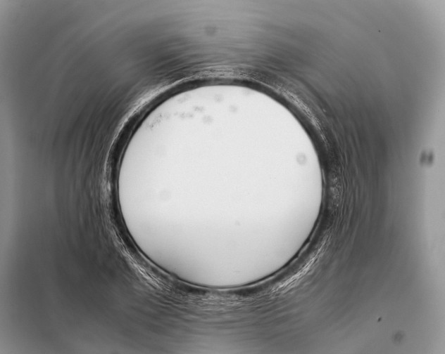 X0000098100981200805021105