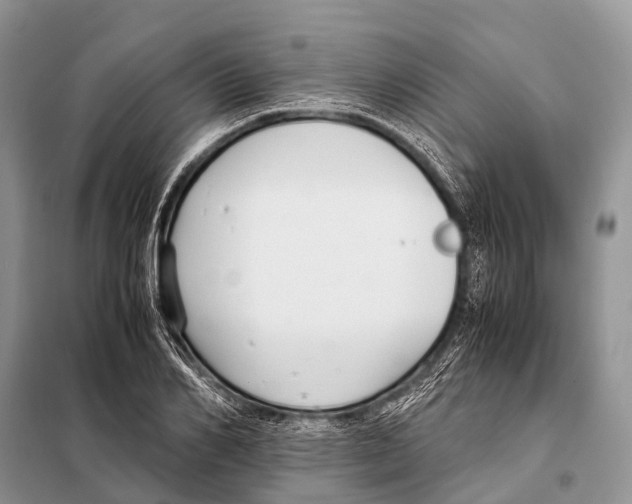 X0000098100982200805021105