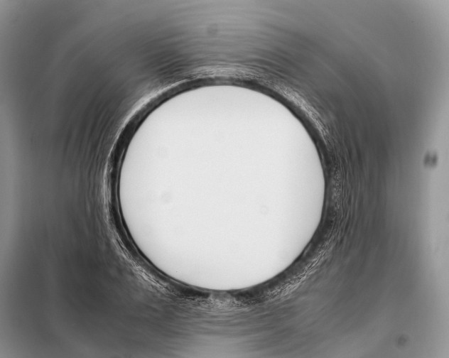X0000098100983200805021105